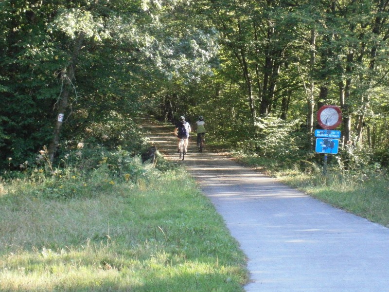 Ligne 523